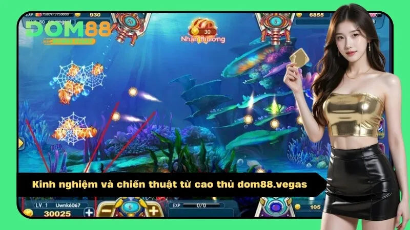 Kinh nghiệm và chiến thuật từ cao thủ dom88.vegas