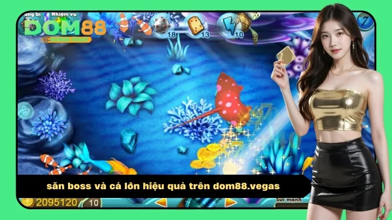 săn boss và cá lớn hiệu quả trên dom88.vegas